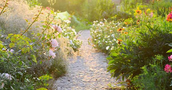 Droomuitleg van "Tuin"